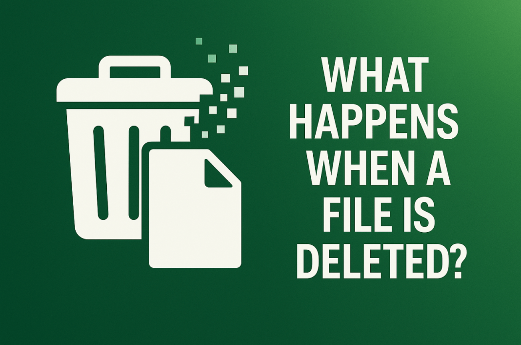 What Happens When a File is Deleted? - 7 Data Recovery Glossary